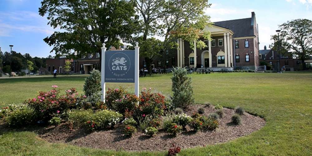 Boston Cars Akademi - Yurtdışı Eğitim Danışmanlığı CATS ACADEMY BOSTON