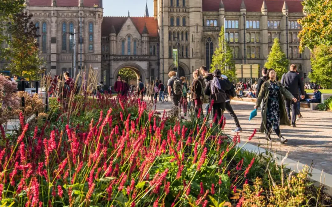 MANCHESTER ÜNİVERSİTESİ (THE UNIVERSITY OF MANCHESTER)