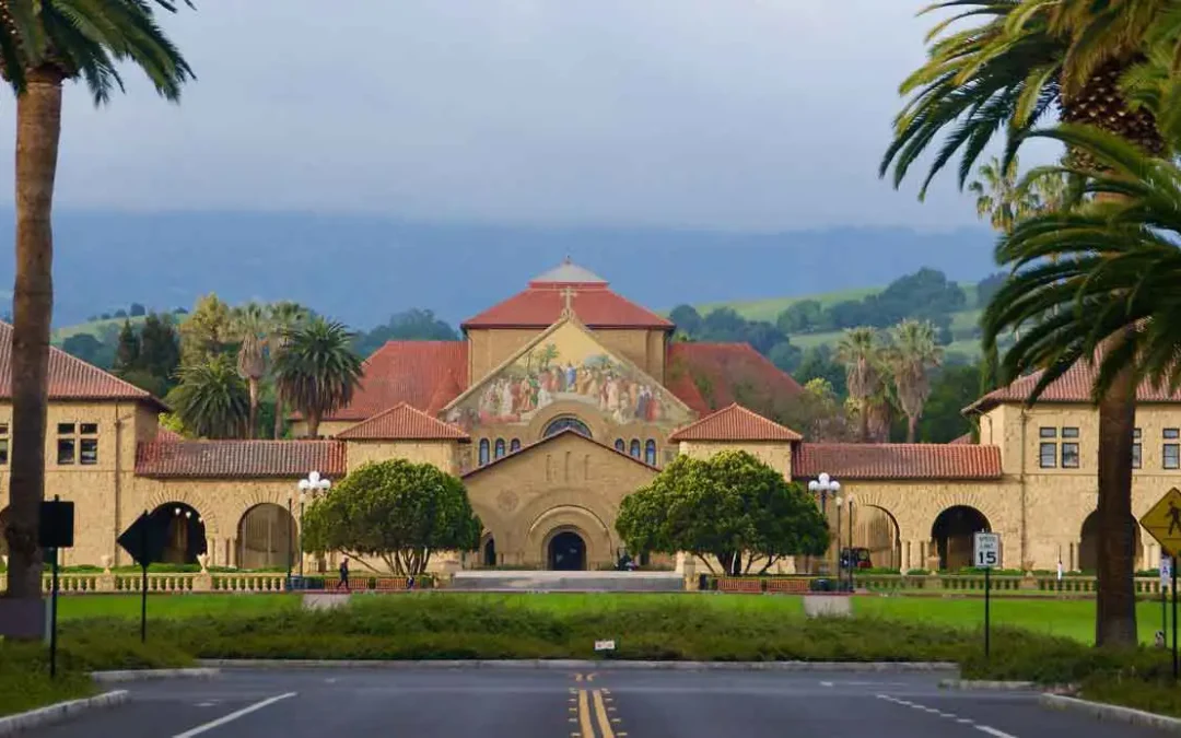 STANFORD ÜNİVERSİTESİ (STANFORD UNIVERSITY)