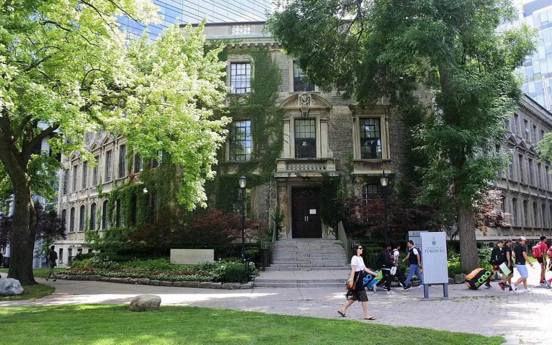TORONTO ÜNİVERSİTESİ